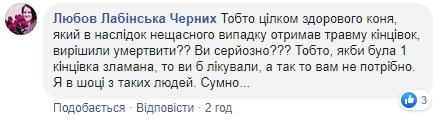 "Убийцы, на мясо": во Львове усыпили лошадь, которая испугалась петарды и травмировала девушку "Убийцы, на мясо": во Львове усыпили лошадь, которая испугалась петарды и травмировала девушку