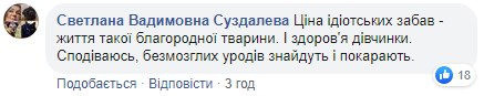 "Убийцы, на мясо": во Львове усыпили лошадь, которая испугалась петарды и травмировала девушку "Убийцы, на мясо": во Львове усыпили лошадь, которая испугалась петарды и травмировала девушку