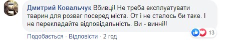 "Убийцы, на мясо": во Львове усыпили лошадь, которая испугалась петарды и травмировала девушку "Убийцы, на мясо": во Львове усыпили лошадь, которая испугалась петарды и травмировала девушку