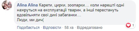 "Убийцы, на мясо": во Львове усыпили лошадь, которая испугалась петарды и травмировала девушку "Убийцы, на мясо": во Львове усыпили лошадь, которая испугалась петарды и травмировала девушку