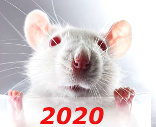 В 2020-м Девам прогнозируется карьерный скачок - Гороскоп на 2020 В 2020-м Девам прогнозируется карьерный скачок - Гороскоп на 2020