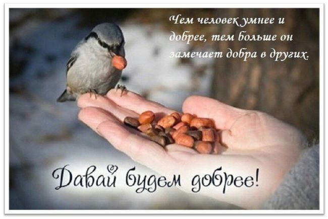 Всемирный день доброты – картинки