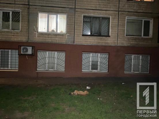 В Кривом Роге стаффа выбросили из окна дома, он погиб В Кривом Роге стаффа выбросили из окна дома, он погиб