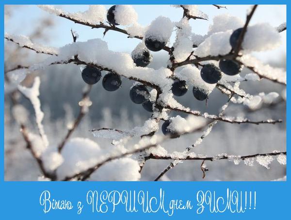 Открытки с первым днем зимы – З першим днем зими – картинки