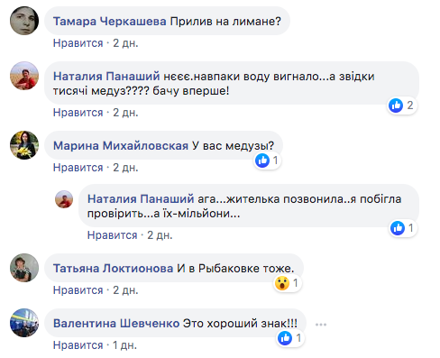 Аномалия под Николаевом: на берег выбросило множество мертвых медуз Аномалия под Николаевом: на берег выбросило множество мертвых медуз