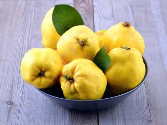Айва Айва