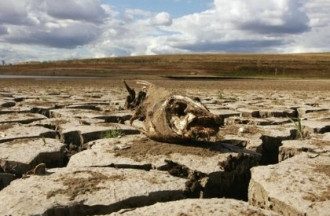 В Крыму высохли главные реки В Крыму высохли главные реки