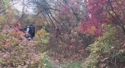В Одессе подростка задержали по подозрению в убийстве / od.npu.gov.ua В Одессе подростка задержали по подозрению в убийстве / od.npu.gov.ua