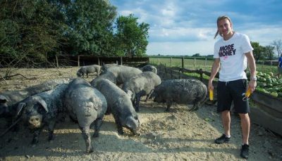 Вида открыл ферму по разведению черных свиней Вида открыл ферму по разведению черных свиней
