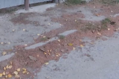 красный снег