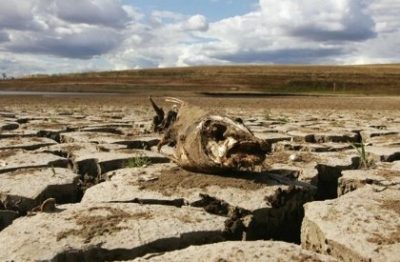 В Крыму высохли главные реки