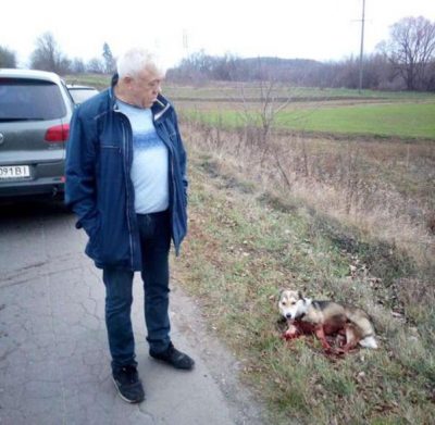 В Хмельницком чиновник тащил привязанную к машине собаку по асфальту