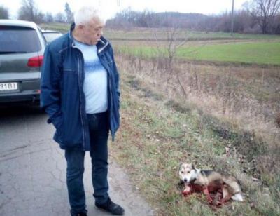 Чиновник тащил пса по асфальту Чиновник тащил пса по асфальту