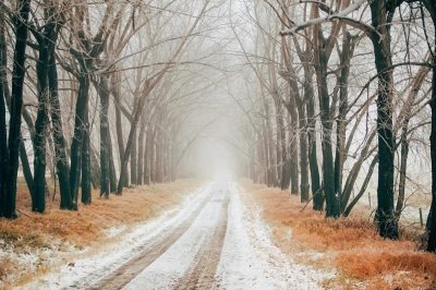 природа_зима_снег_дорога природа_зима_снег_дорога