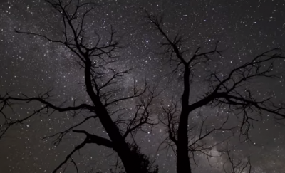 "Укусы" судьбы 24 ноября грозят Тельцам, Ракам, Рыбам и Львам - Гороскоп на 2019