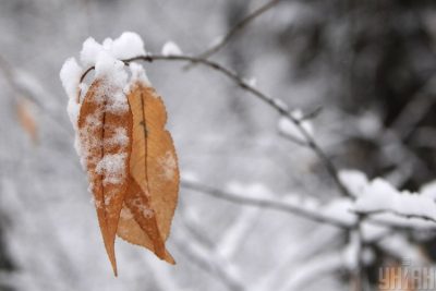 Зима зимняя: синоптики рассказали, когда Украину засыпет снегом