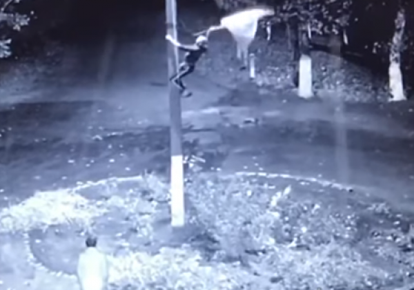 На Одесчине парень "поиздевался" над флагом Украины, опубликованы фото и видео