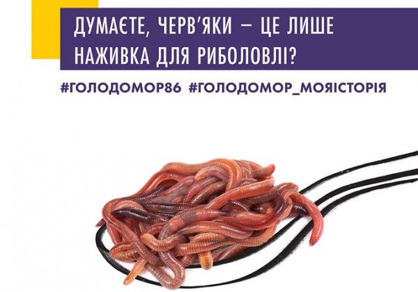 Черви, мыши и опилки: в музее показали пищу украинцев во время Голодомора