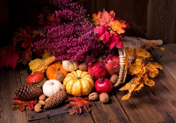 28 ноября – какой сегодня праздник: Рождественский пост и День благодарения