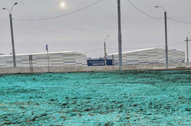 "В какой-нибудь стране мира ещё живут такие же долбо*бы?": в Омске к приезду Путина покрасили землю