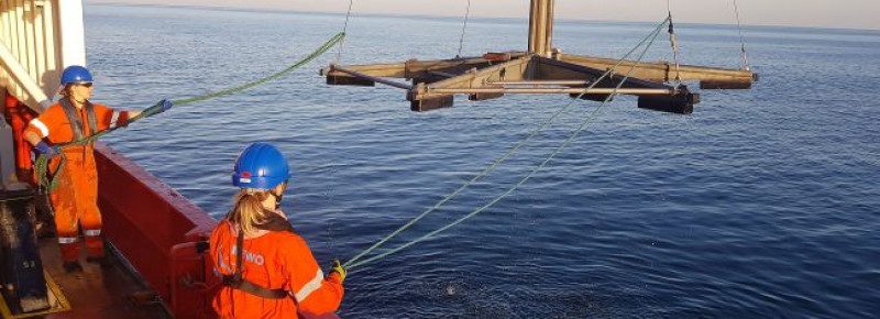 Эксперт пояснил, помешает ли Северному потоку-2 строительство норвежского газопровода Baltic Pipe