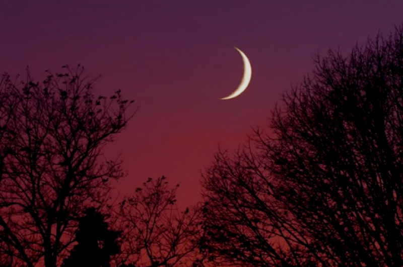 "Людей будет косить смерть": астролог дал прогноз на неделю и назвал угрозу новолуния