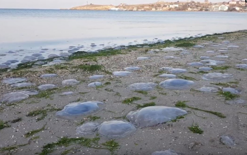 "Там все сумно": росіянин розповів про причини втечі з Криму