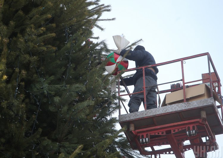 В Киеве собрали главную новогоднюю елку Украины, опубликованы фото