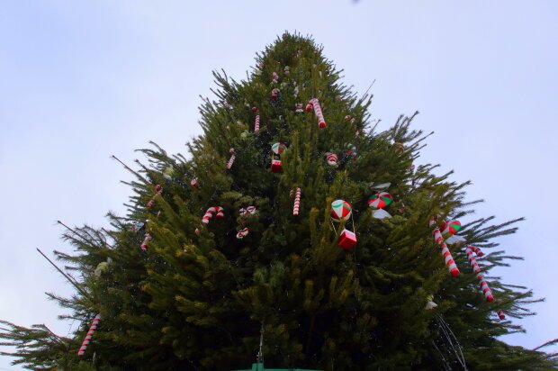 Новогодняя елка на Софийской площади