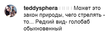 Собчак Собчак