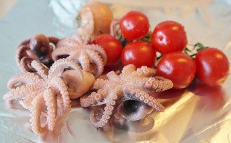 Кальмары Кальмары