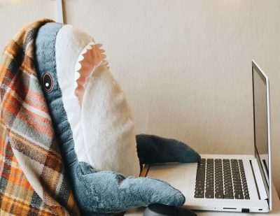 Акула из Икеи