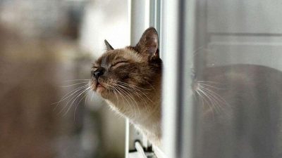 Аномальное тепло: синоптики удивили прогнозом