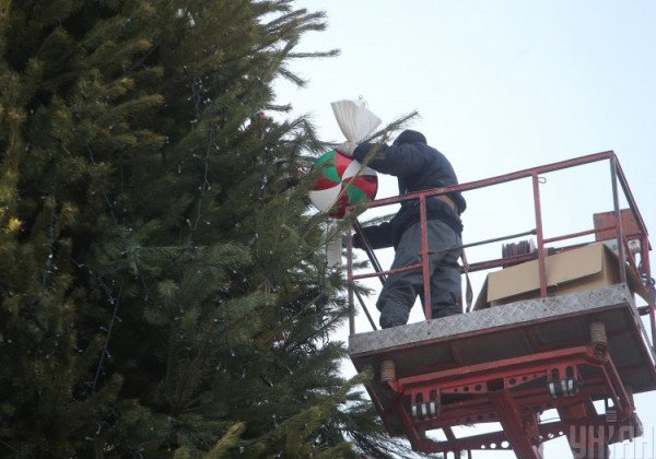В Киеве собрали главную новогоднюю елку Украины, опубликованы фото