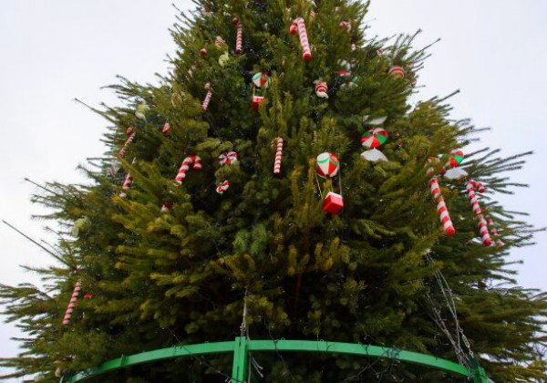 Новый год мчится: в Киеве поставили и собрали главную елку Украины - опубликованы фото