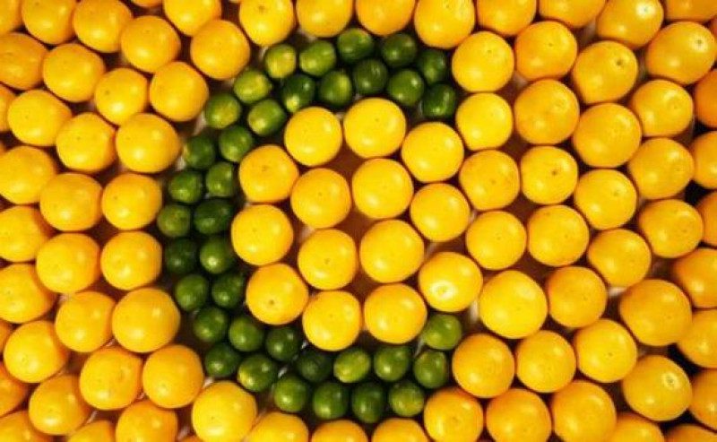 Диетолог назвала суточную норму витамина С: что можно съесть