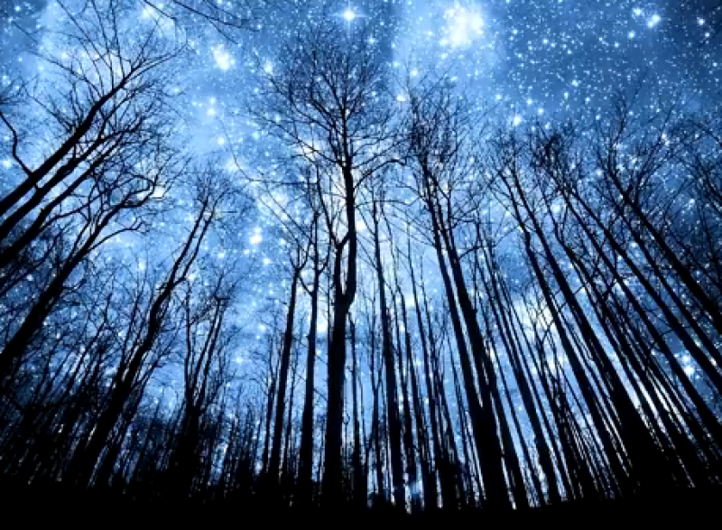 "Розорення та токсична людина": трьом знаками Зодіаку загрожують небезпечні пастки