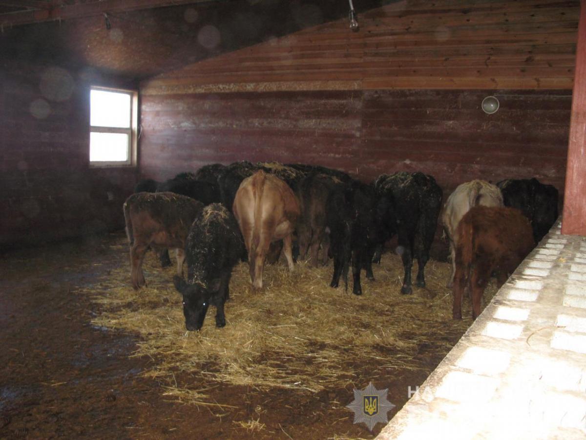 В Киевской области в мини-зоопарке животных оставили без корма