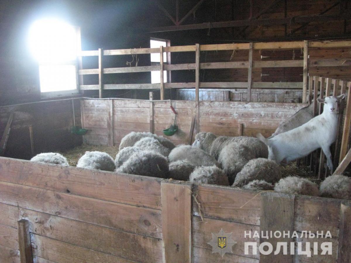 В Киевской области в мини-зоопарке животных оставили без корма