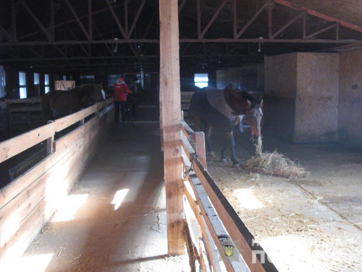 В Киевской области в мини-зоопарке животных оставили без корма