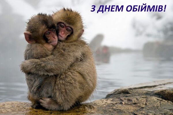 день обіймів привітання картинки день обіймів привітання картинки