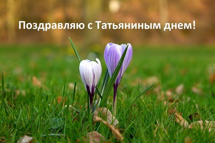 бесплатные открытки с днём татьяны бесплатные открытки с днём татьяны