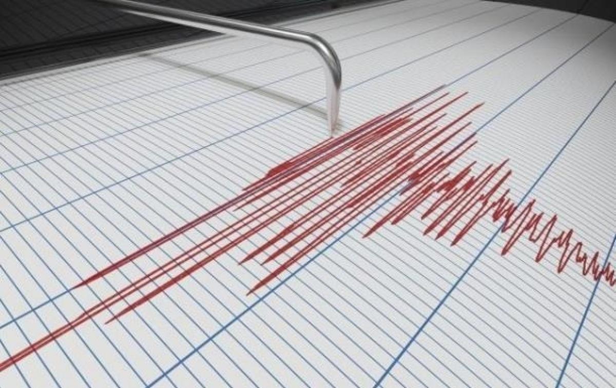 В Украине произошло землетрясение: кого 