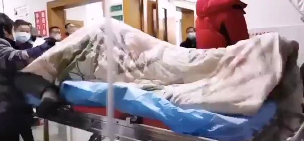 Появились первые зараженные коронавирусом среди не посещавших Китай Появились первые зараженные коронавирусом среди не посещавших Китай