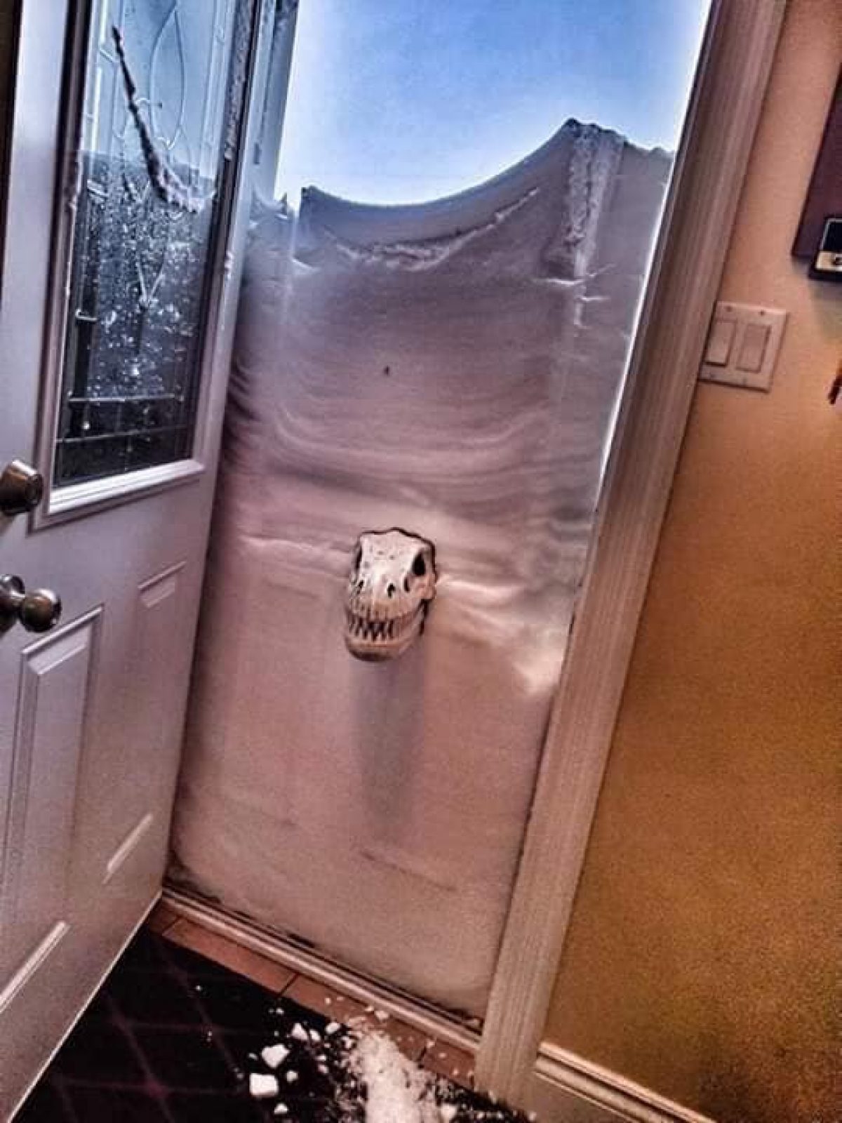 Сугробы на дверь. Дверь завалило снегом. Заваленная дверь. Снег в Канаде 2020. Завалило снегом дверь из бани.