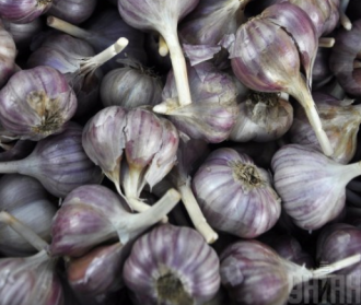 Врач сообщила, что благодаря чесноку снижается риск инсультов - От рака продукты Врач сообщила, что благодаря чесноку снижается риск инсультов - От рака продукты