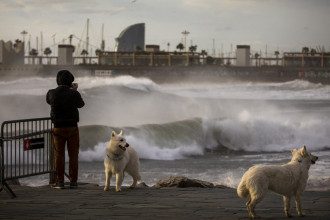 Ураган Глория накрыл Испанию / Reuters Ураган Глория накрыл Испанию / Reuters