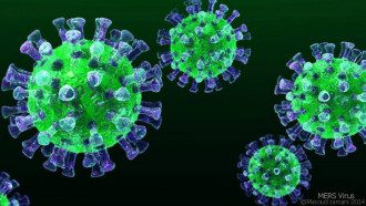 Коронавирус на пике – названа апокалиптическая дата для вируса из Китая Коронавирус на пике – названа апокалиптическая дата для вируса из Китая