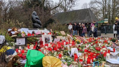 Жуткая гибель 30 обезьян в зоопарке Германии: мать и дочери сознались в содеянном