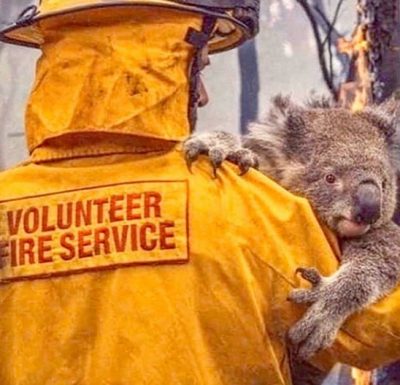Пожары в Австралии убили полмиллиарда животных / instagram.com/sussexroyal